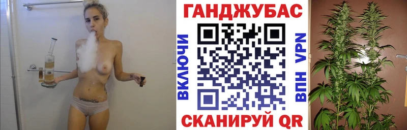 Альфа ПВП Куровское