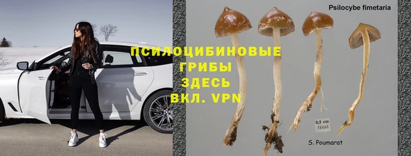 MDMA Premium VHQ Новозыбков