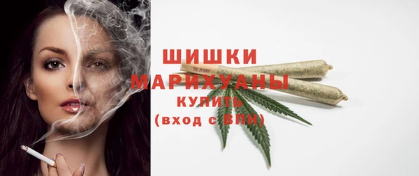спайс Няндома