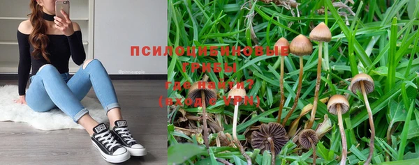 спайс Няндома